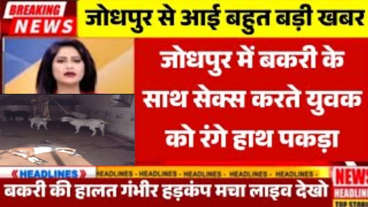 Jio 1 Year Recharge Plan: Jio का नवरात्रि धमाका: एक बार रिचार्ज, पूरे साल अनलिमिटेड 5G और कॉलिंग FREE! 